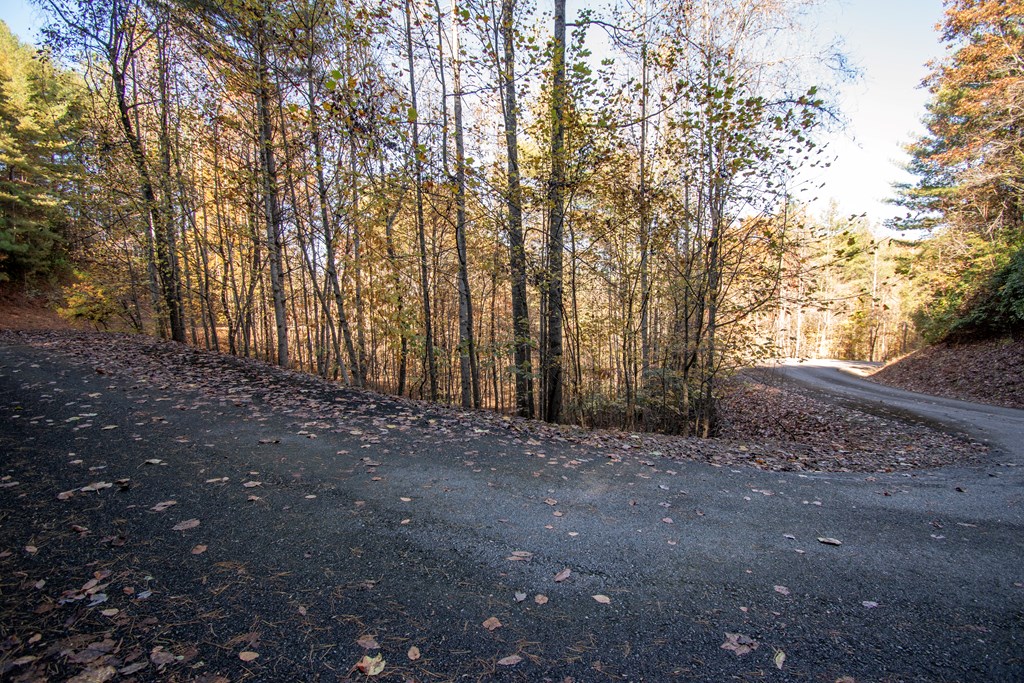 Lot 66 Choctaw Rdg Trail Murphy, NC 28906 - Photo 10 of 11 a view of dirt yard with trees in the background