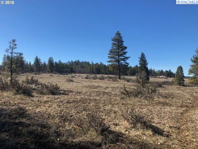 Chambers Road Goldendale, WA 98620 - Photo 1 of 5 Gallery Image 1