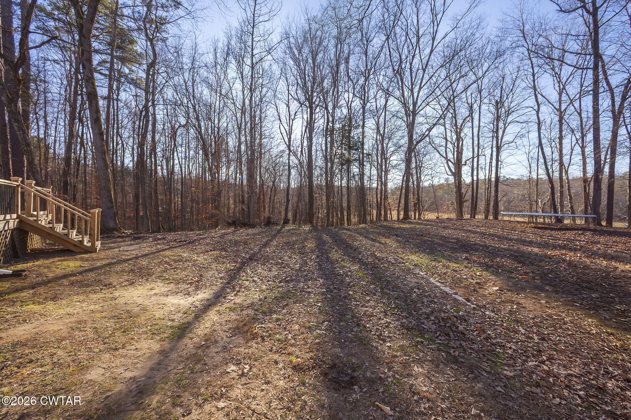 45 Mockingbird Road Medon, TN 38356 - Photo 22 of 32 Backyard