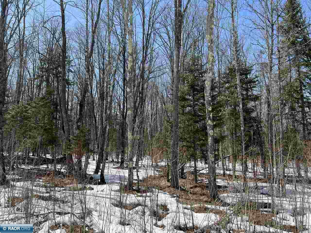 Lot 2 Rippling Oak Ridge River Pengilly, MN 55775 - Photo 6 of 8