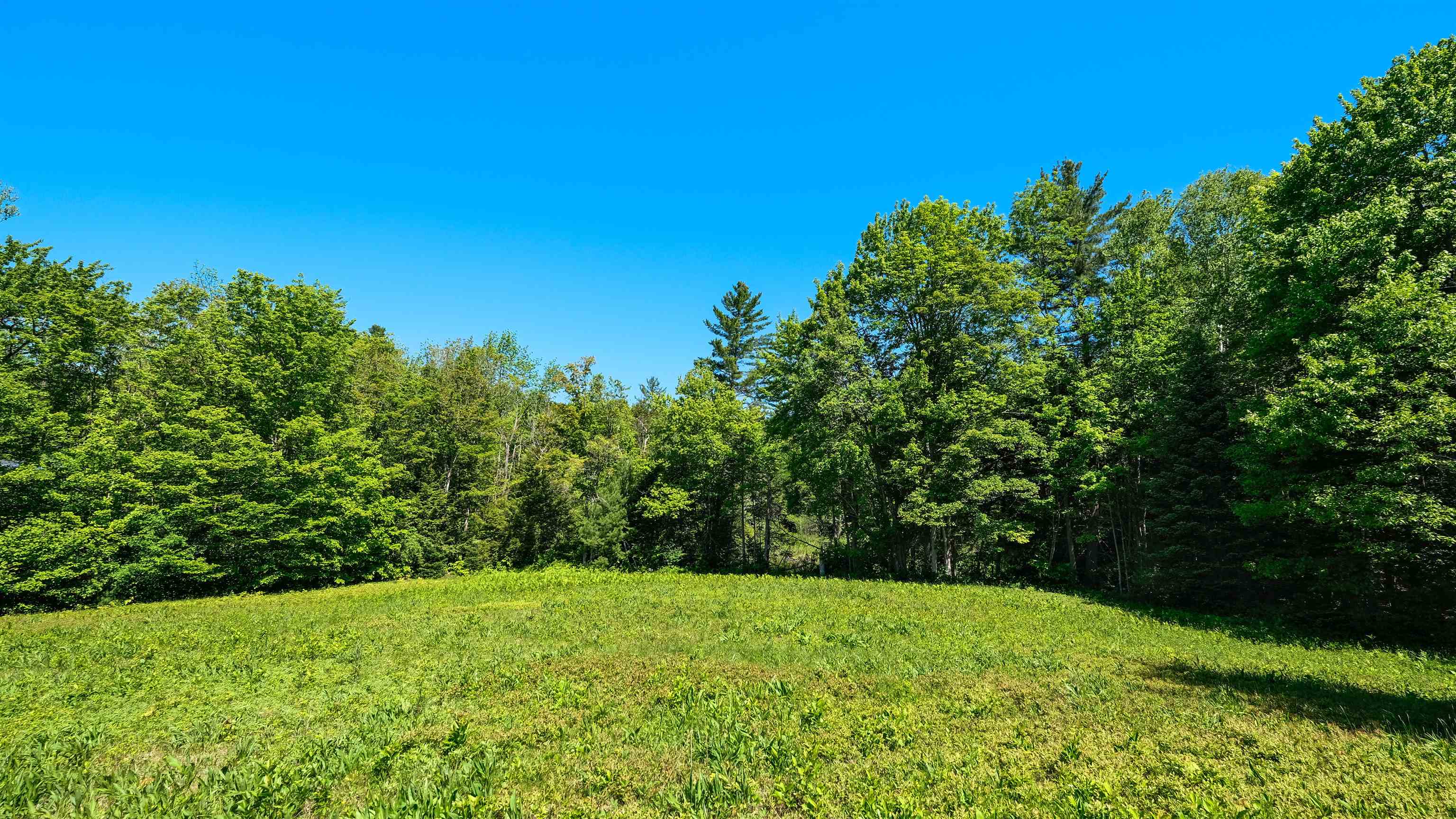 0 Rod And Gun Club Road, Unit 9 Ludlow, VT 05149 - Photo 11 of 25