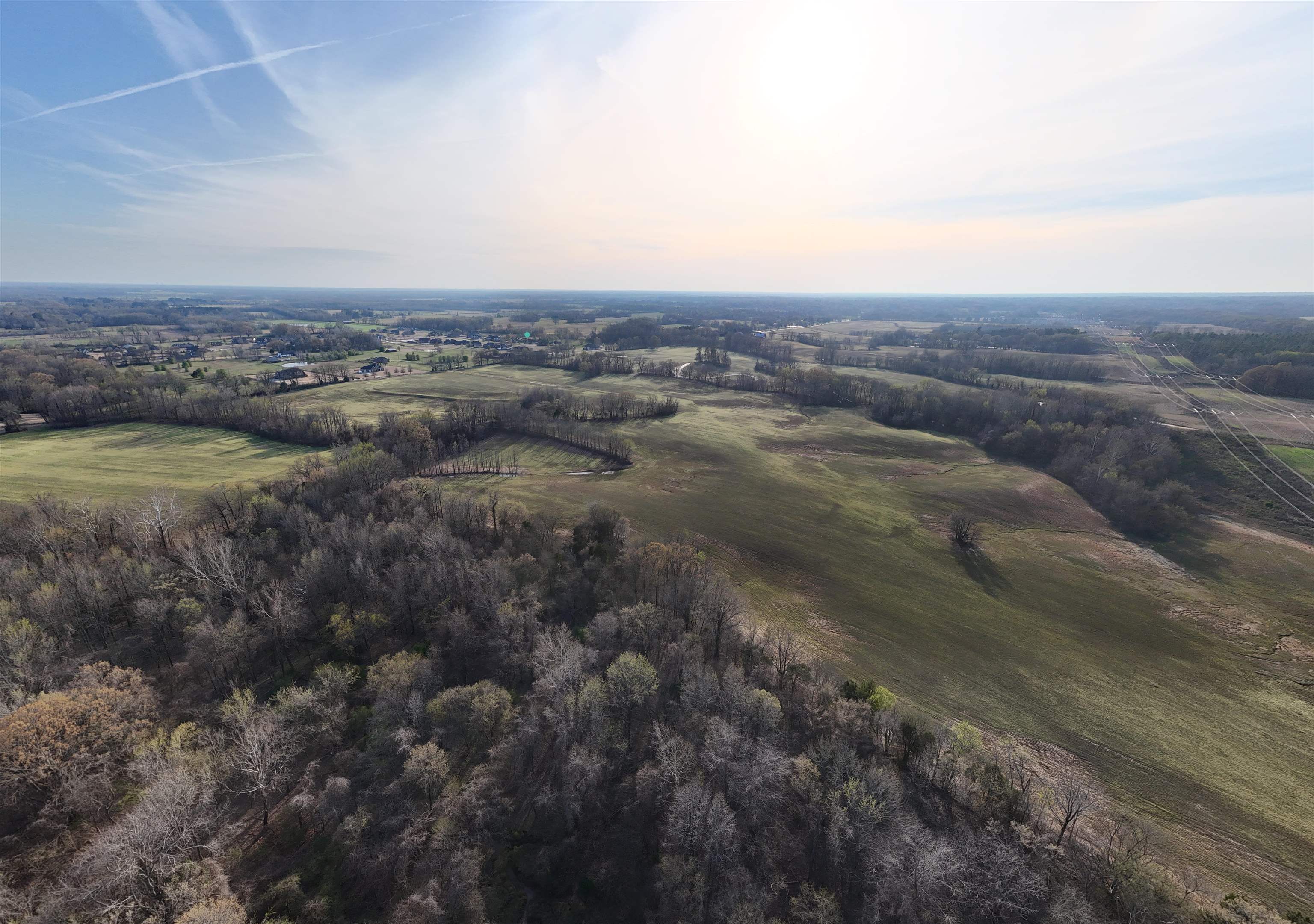 8324 Mudville Road Atoka, TN 38004 - Photo 6 of 8