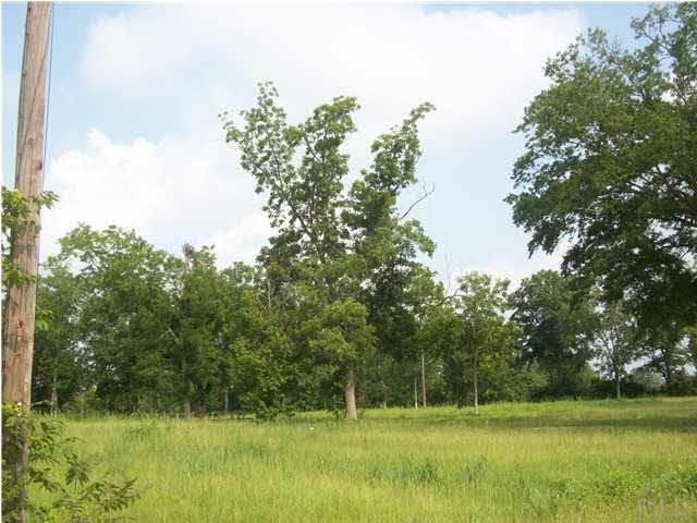3825 Lewis Road Milton, FL 32570 - Photo 1 of 15 Beautiful Homesite snuggled back in the pecan grove.