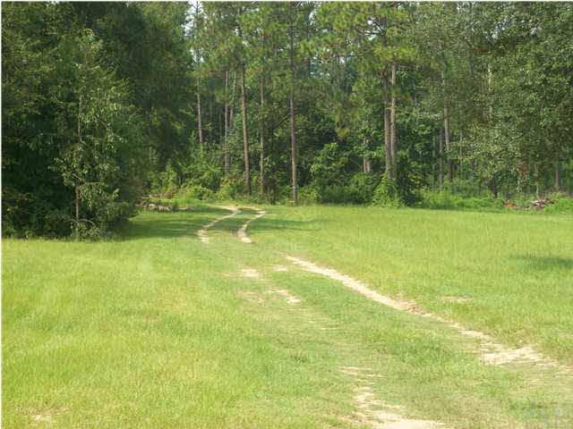 3825 Lewis Road Milton, FL 32570 - Photo 11 of 15 Miles and miles of trails.