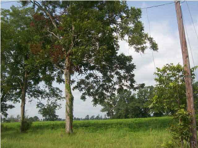 3825 Lewis Road Milton, FL 32570 - Photo 12 of 15 The lot to the left of the power pole can be subdivided out for $32,500.