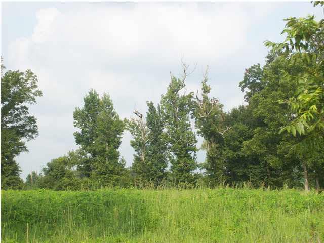 3825 Lewis Road Milton, FL 32570 - Photo 14 of 15 Trees are towards the rear of the site.