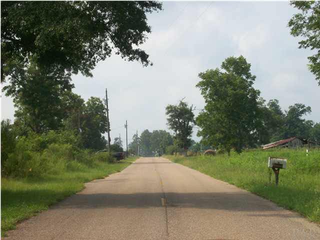 3825 Lewis Road Milton, FL 32570 - Photo 15 of 15 Another street view looking back towards Hwy 4.