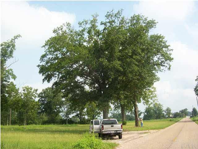 3825 Lewis Road Milton, FL 32570 - Photo 3 of 15 Street view looking towards Brewton, Al., North