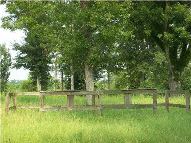 3825 Lewis Road Milton, FL 32570 - Photo 6 of 15 A great place for a round pen for your horses.