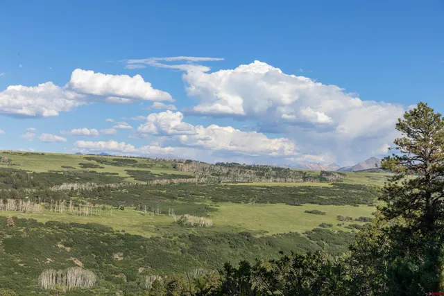 a view of a sky from a yard