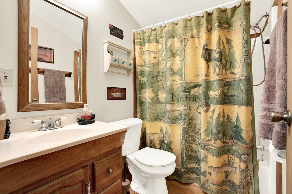 57 Mangum's Trail Blue Ridge, GA 30513 - Photo 46 of 66 a bathroom with a sink toilet and shower