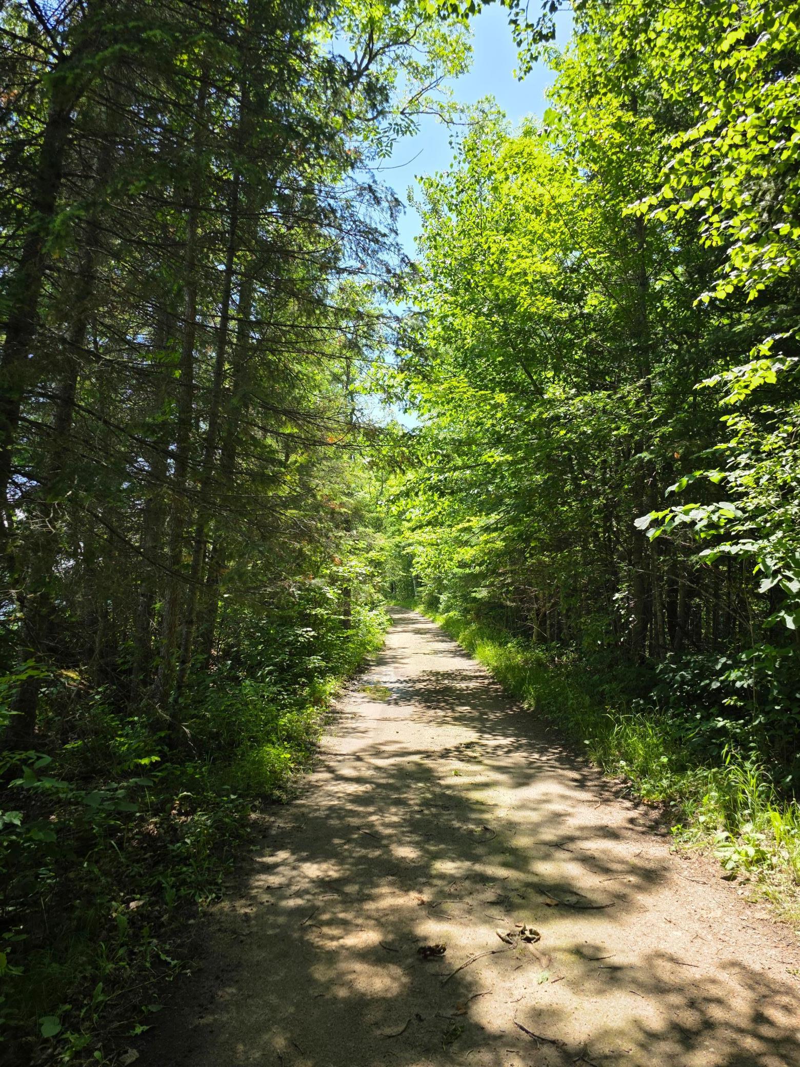 Tbd North Moose Lake Road Northeast Pennington, MN 56663 - Photo 12 of 19