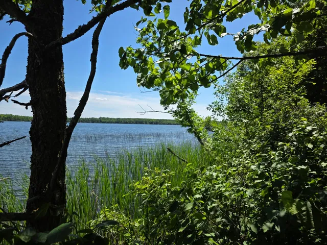 $159,900 | Tbd North Moose Lake Road Northeast, Pennington, MN 56663