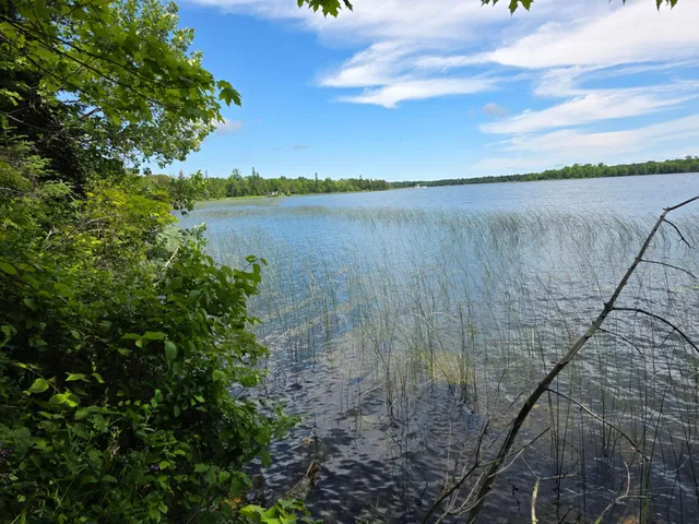 $159,900 | Tbd North Moose Lake Road Northeast, Pennington, MN 56663