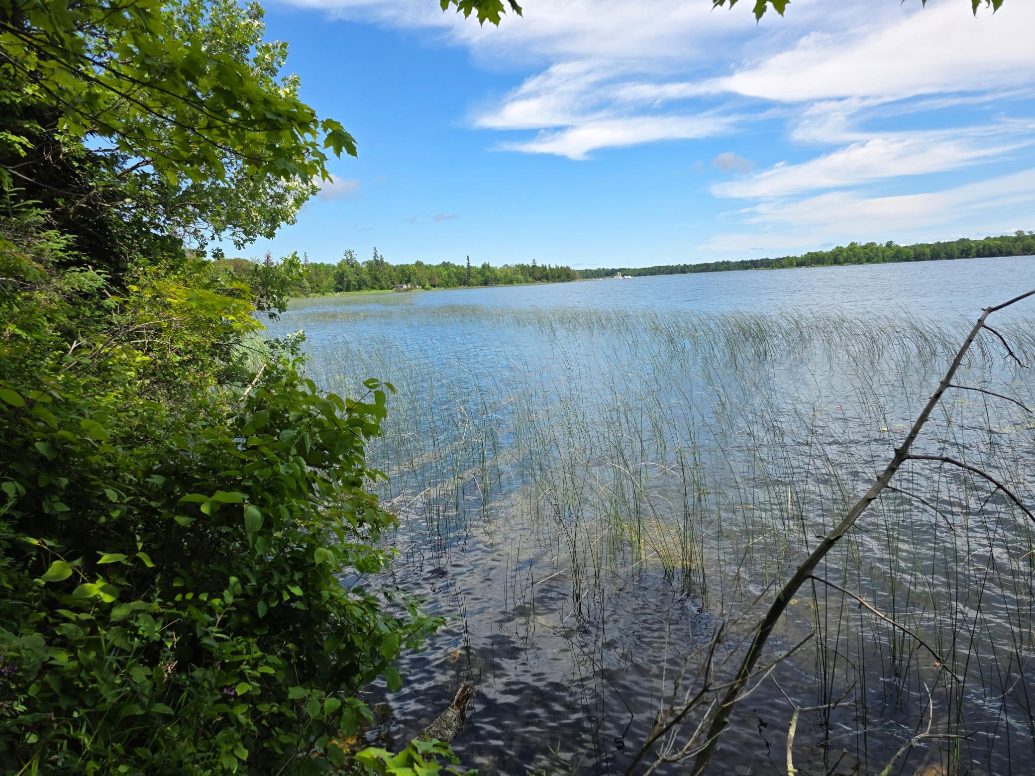 Tbd North Moose Lake Road Northeast Pennington, MN 56663 - Photo 4 of 19
