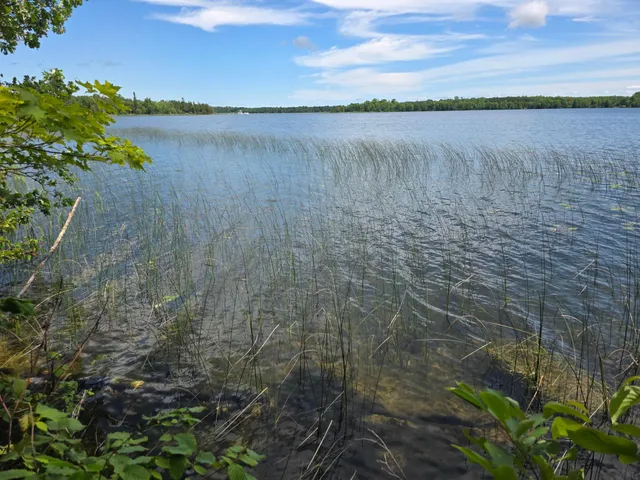 $159,900 | Tbd North Moose Lake Road Northeast, Pennington, MN 56663