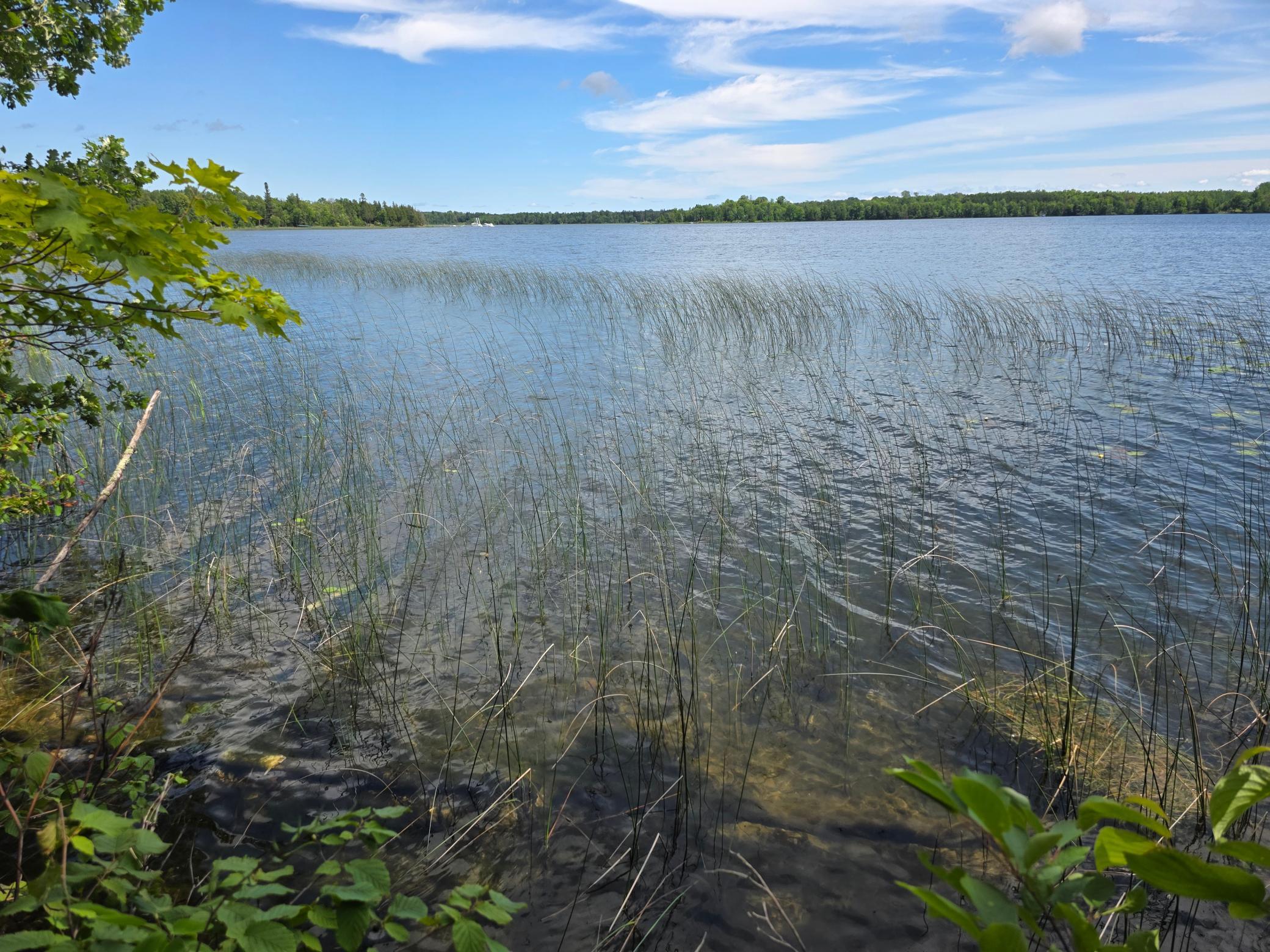 Tbd North Moose Lake Road Northeast Pennington, MN 56663 - Photo 5 of 19