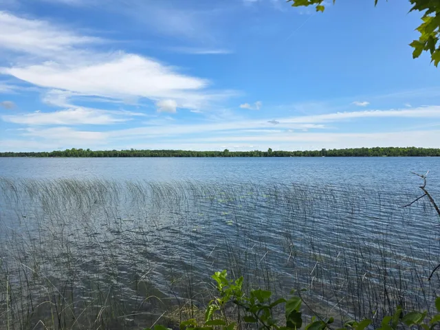 $159,900 | Tbd North Moose Lake Road Northeast, Pennington, MN 56663