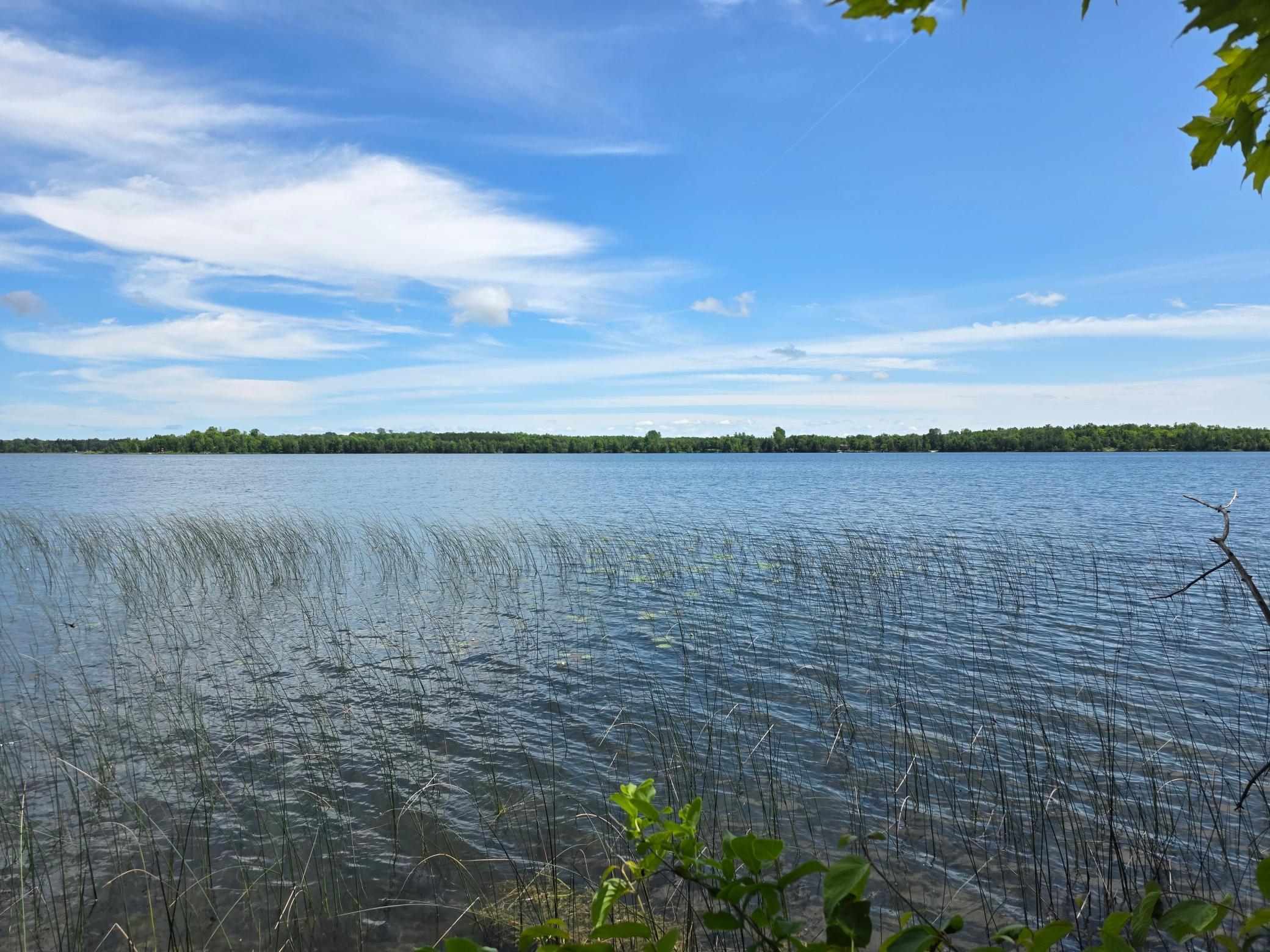 Tbd North Moose Lake Road Northeast Pennington, MN 56663 - Photo 7 of 19