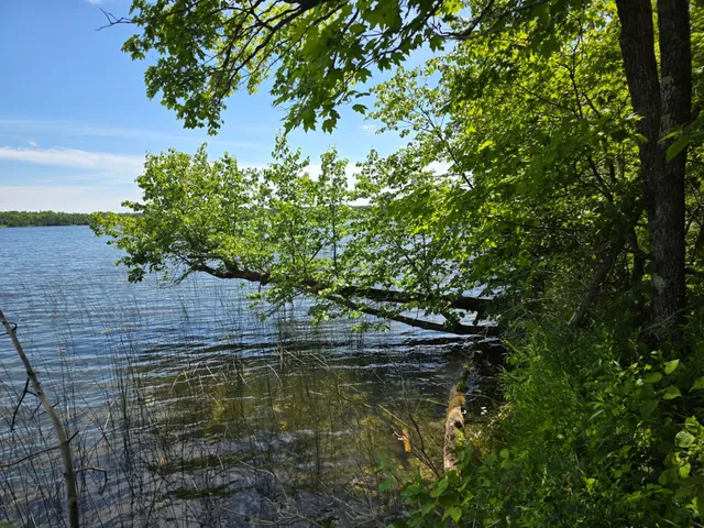 $159,900 | Tbd North Moose Lake Road Northeast, Pennington, MN 56663