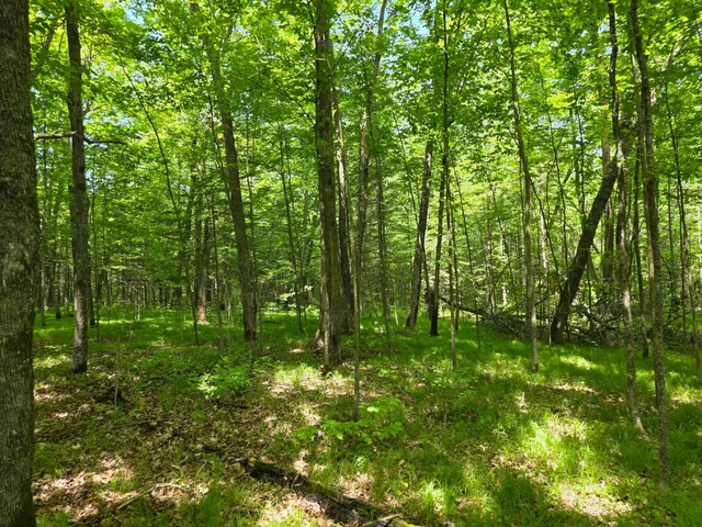 $159,900 | Tbd North Moose Lake Road Northeast, Pennington, MN 56663