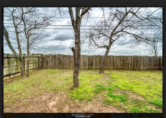 a view of backyard with tree