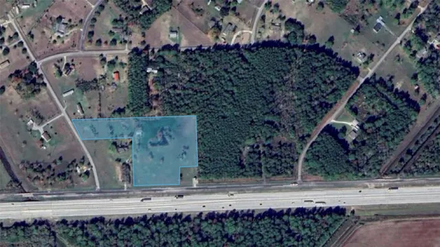 a view of a park with large trees