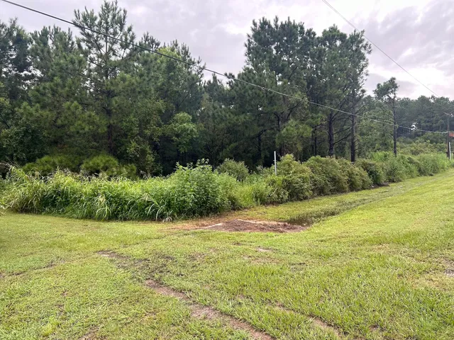 $196,850 | 13935 Santa Fe Trail, Hamshire, TX 77622