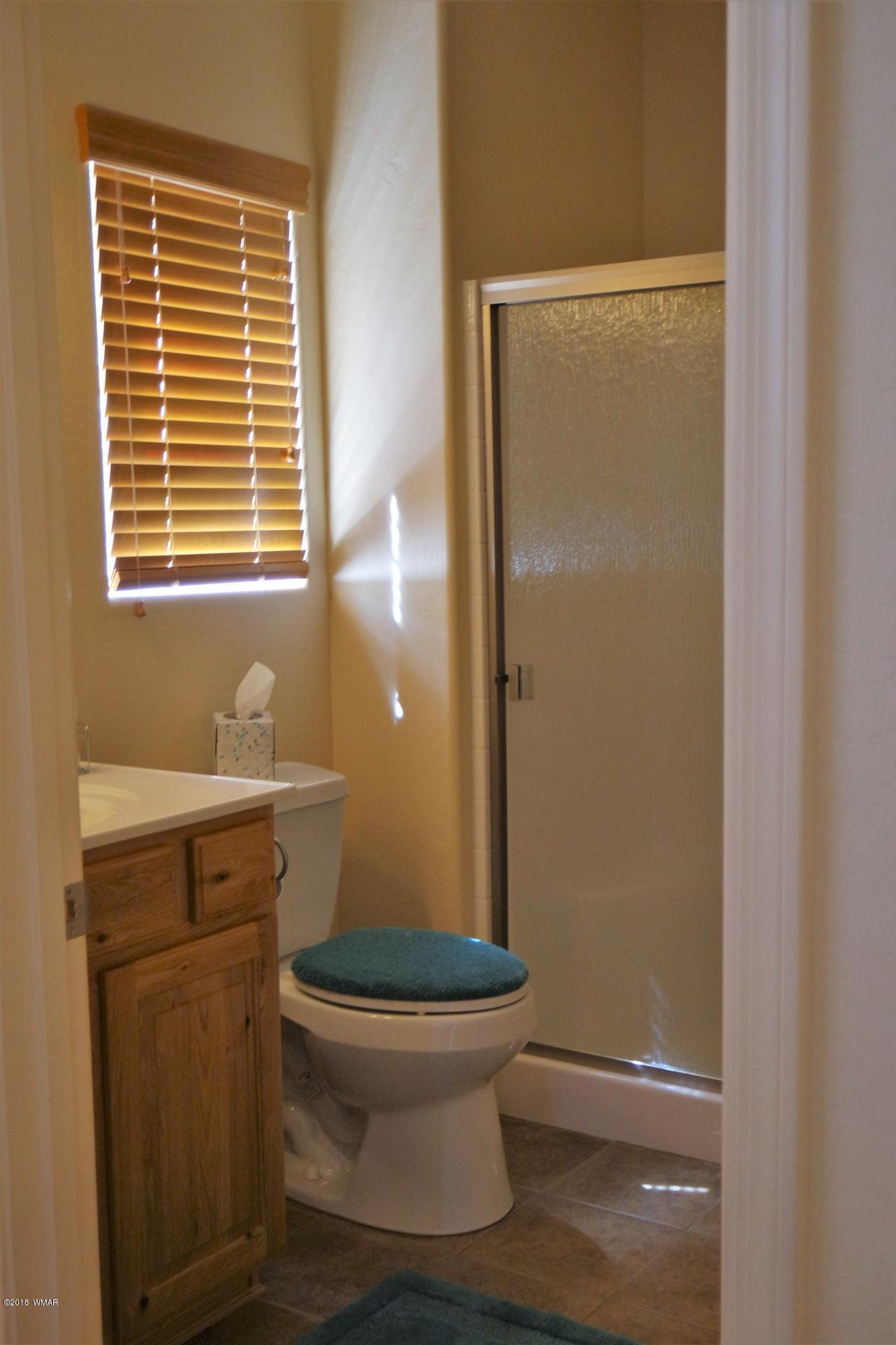 1040 Cedar Ridge Run Show Low, AZ 85901 - Photo 19 of 52 Gallery Image 19