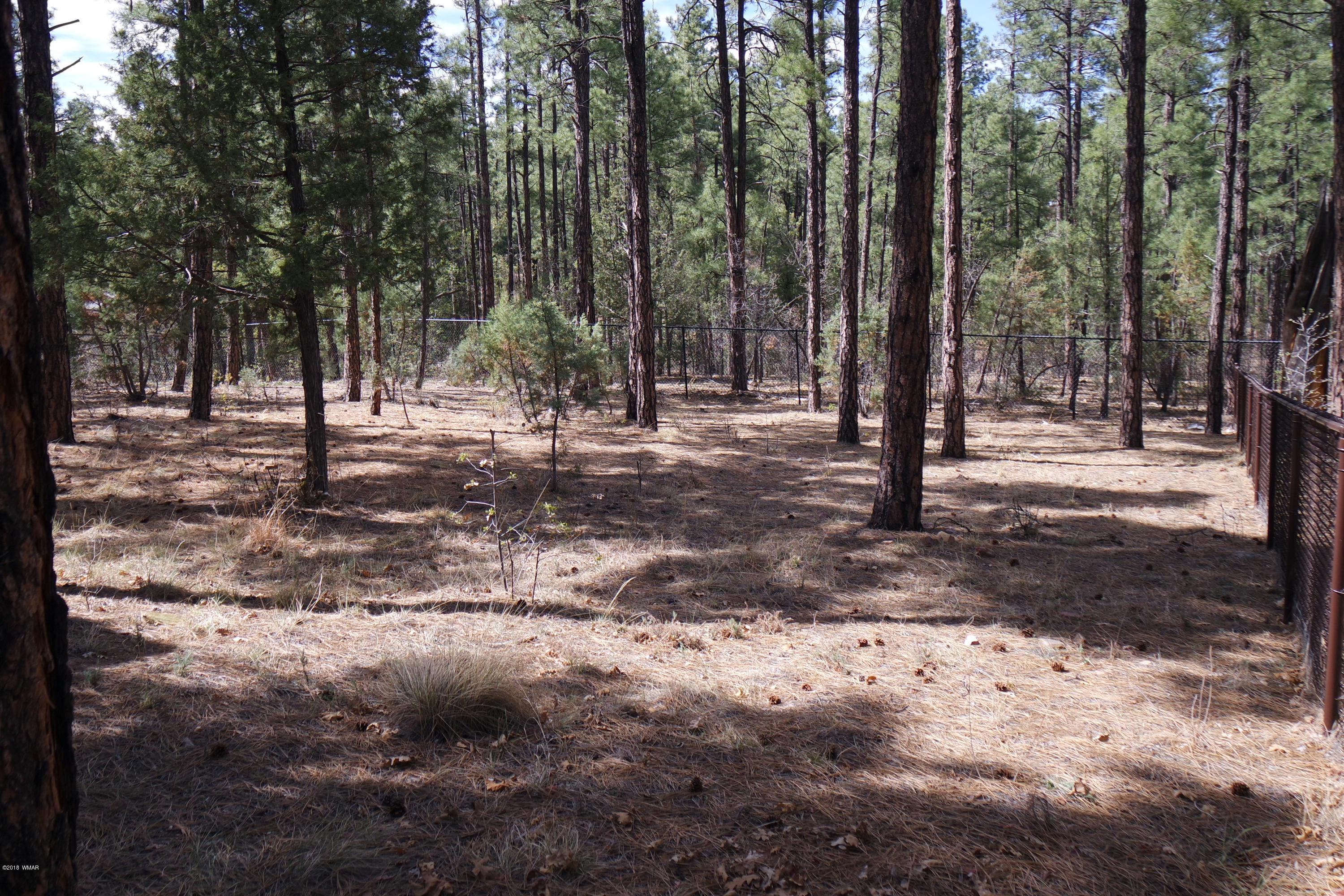 1040 Cedar Ridge Run Show Low, AZ 85901 - Photo 47 of 52 Gallery Image 47