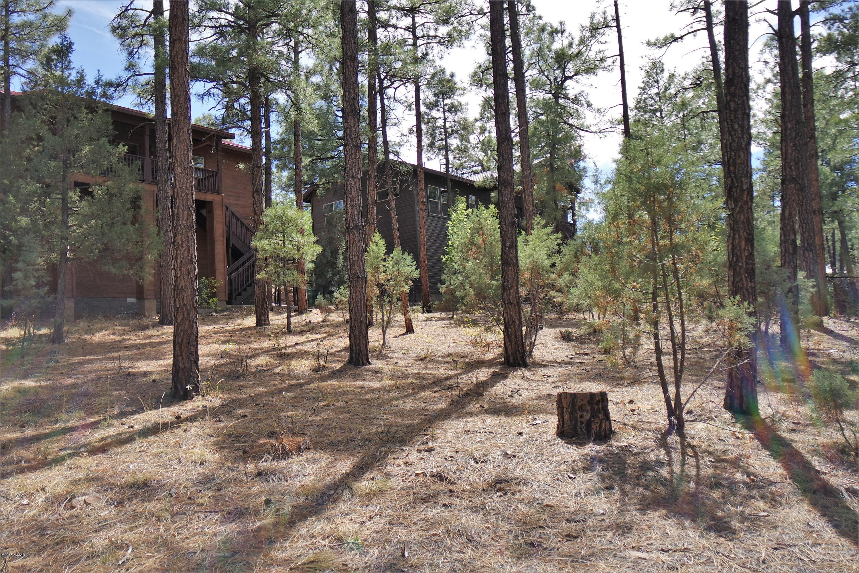 1040 Cedar Ridge Run Show Low, AZ 85901 - Photo 48 of 52 Gallery Image 48