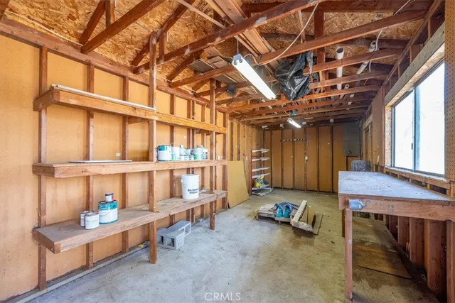 a view of a park with large trees