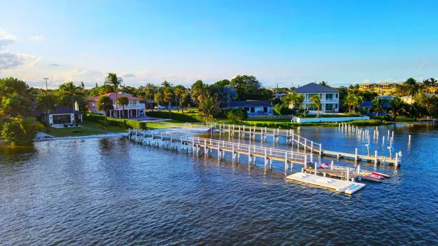 a view of a backyard with garden and plants