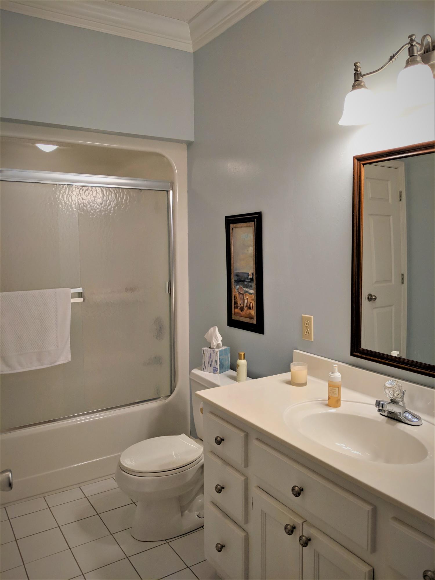 1072 Tom Charles Road Summerton, SC 29148 - Photo 16 of 26 Guest Bath