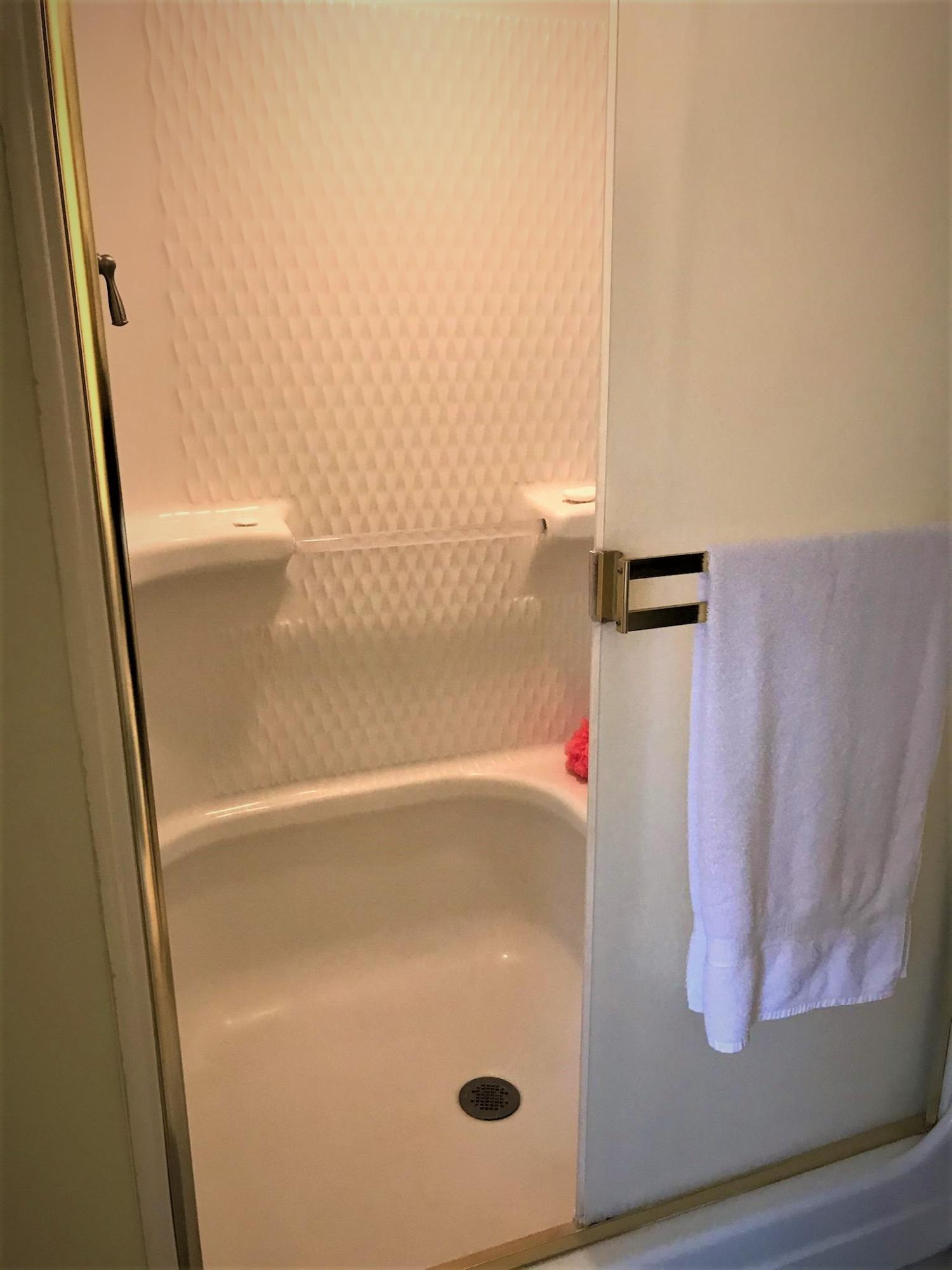 1072 Tom Charles Road Summerton, SC 29148 - Photo 22 of 26 Master bath shower