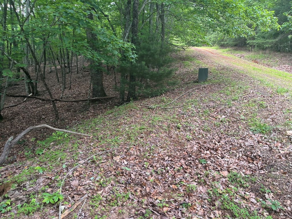 Lot 49 Burger Road Murphy, NC 28906 - Photo 5 of 7