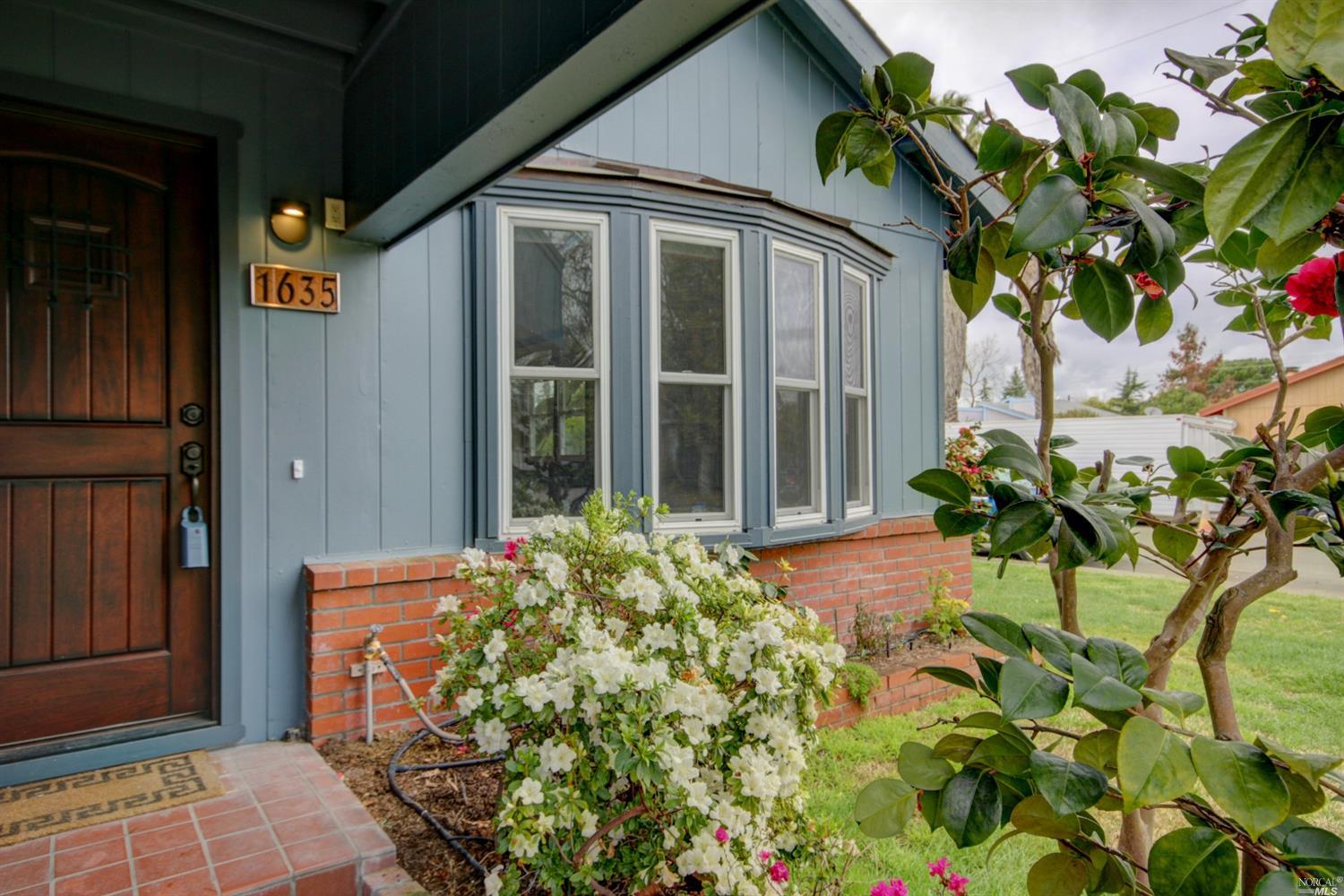 a plant is in front of a house