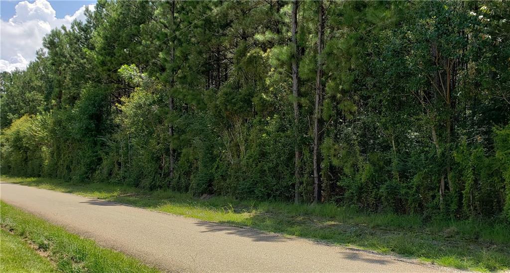53057 South Bennett Road Independence, LA 70443 - Photo 1 of 3