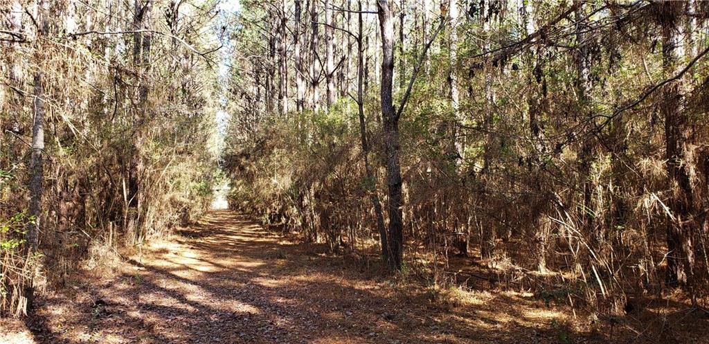 53057 South Bennett Road Independence, LA 70443 - Photo 3 of 3