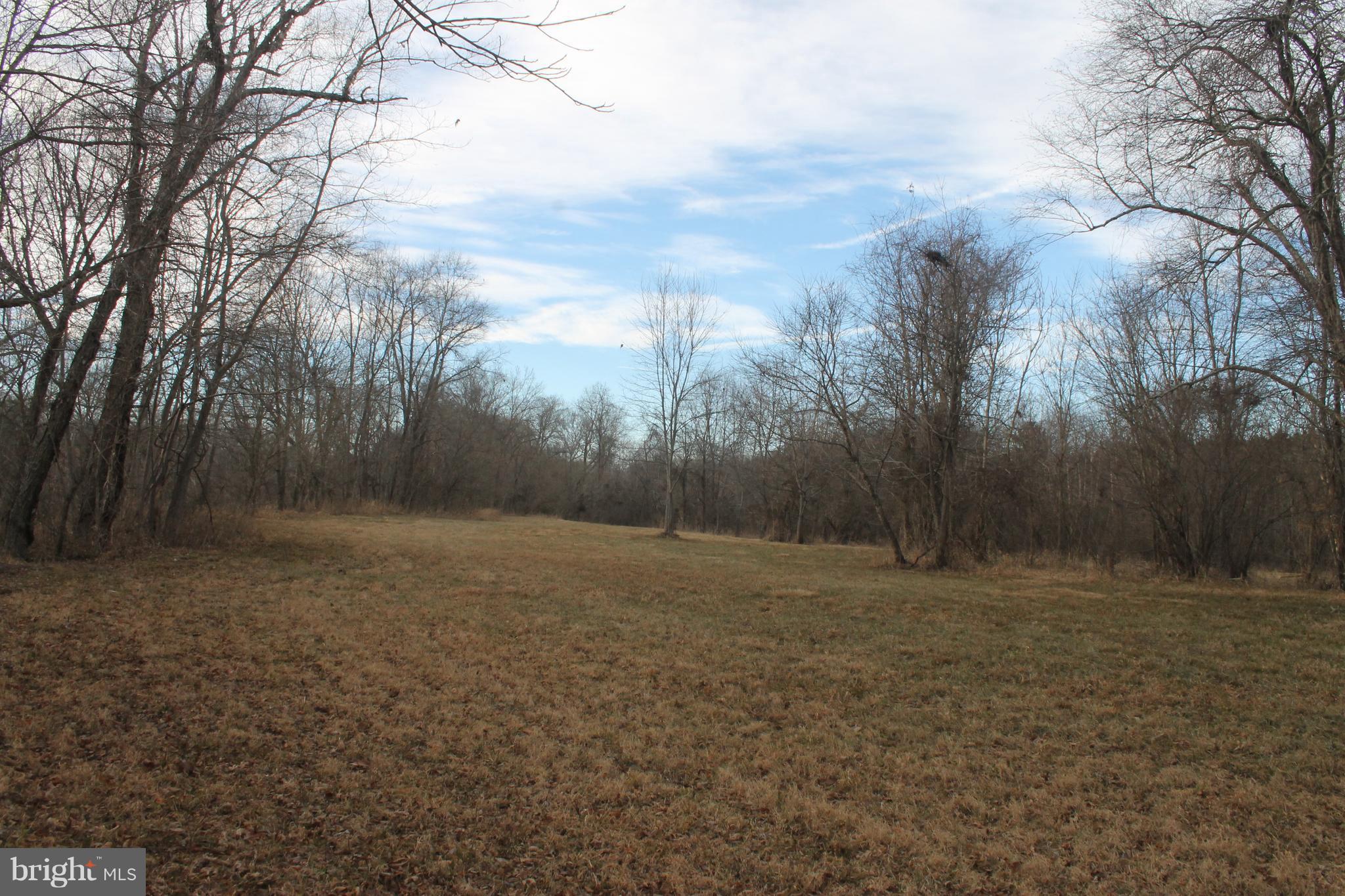 17372 Crookes Farm Road Rixeyville, VA 22737 - Photo 11 of 30 Field by Hazel River