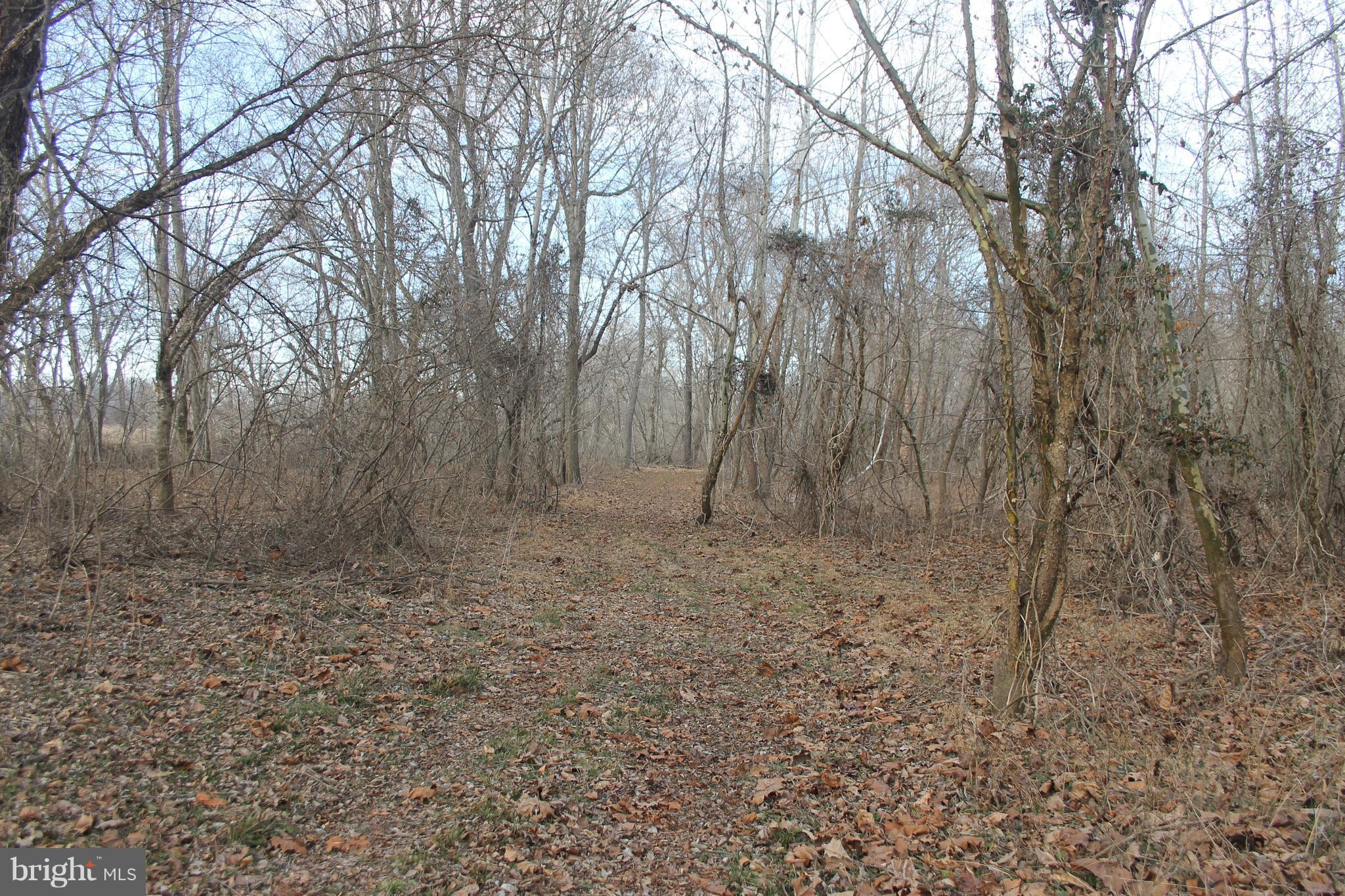 17372 Crookes Farm Road Rixeyville, VA 22737 - Photo 12 of 30 Trail by Hazel River