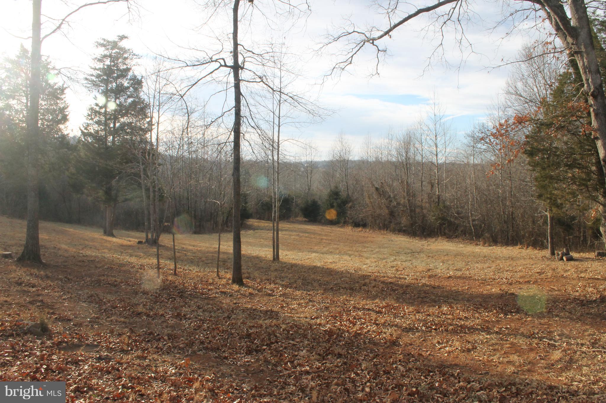 17372 Crookes Farm Road Rixeyville, VA 22737 - Photo 13 of 30 Front field