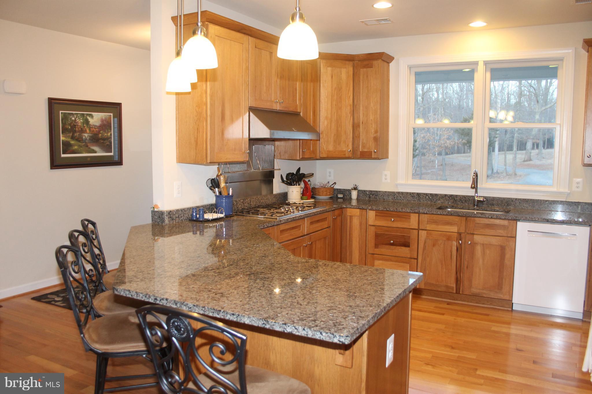 17372 Crookes Farm Road Rixeyville, VA 22737 - Photo 17 of 30 Kitchen with Gas Range and Hood, Breakfast seats