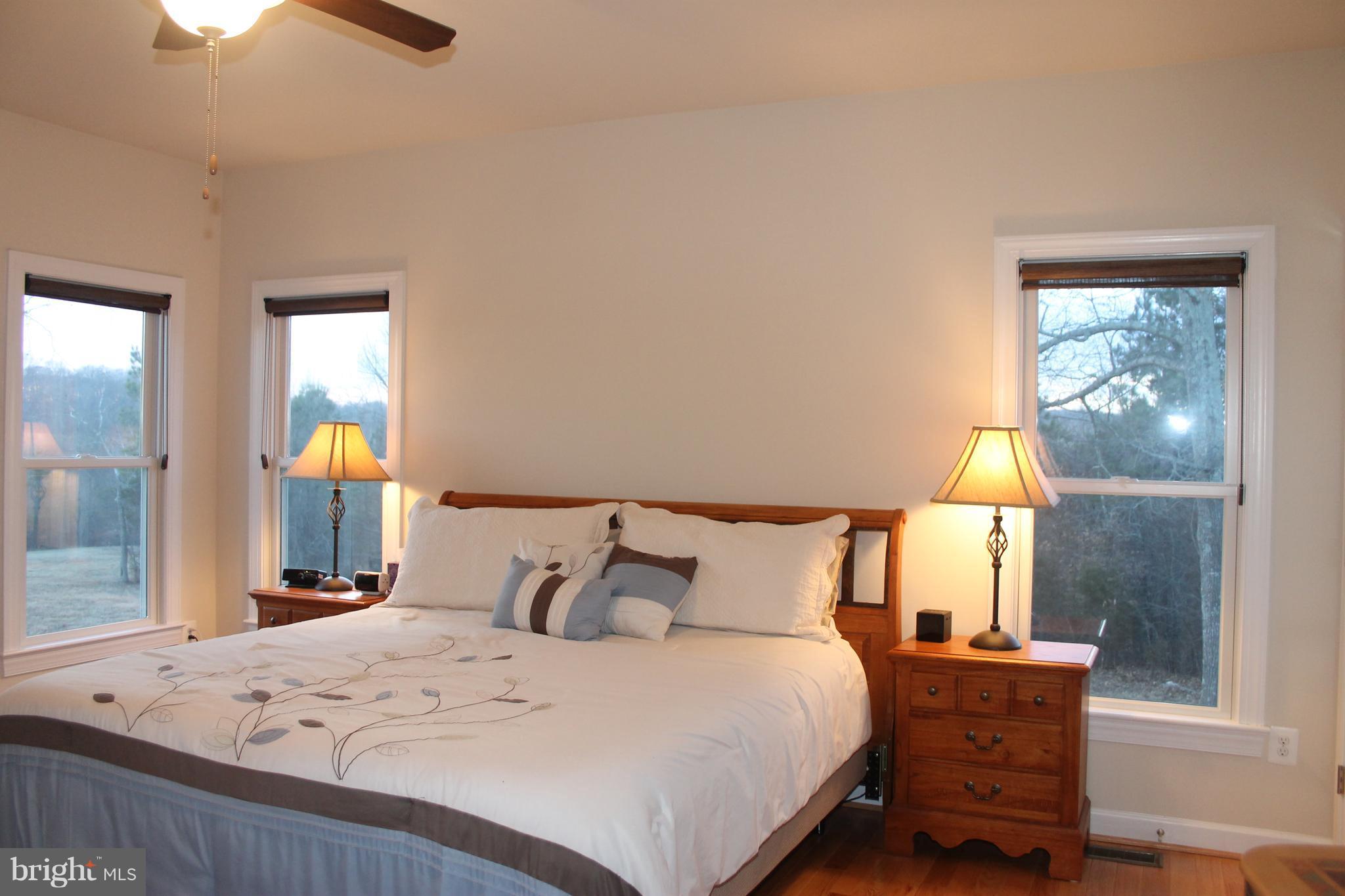 17372 Crookes Farm Road Rixeyville, VA 22737 - Photo 19 of 30 Master Bedroom with 4 windows