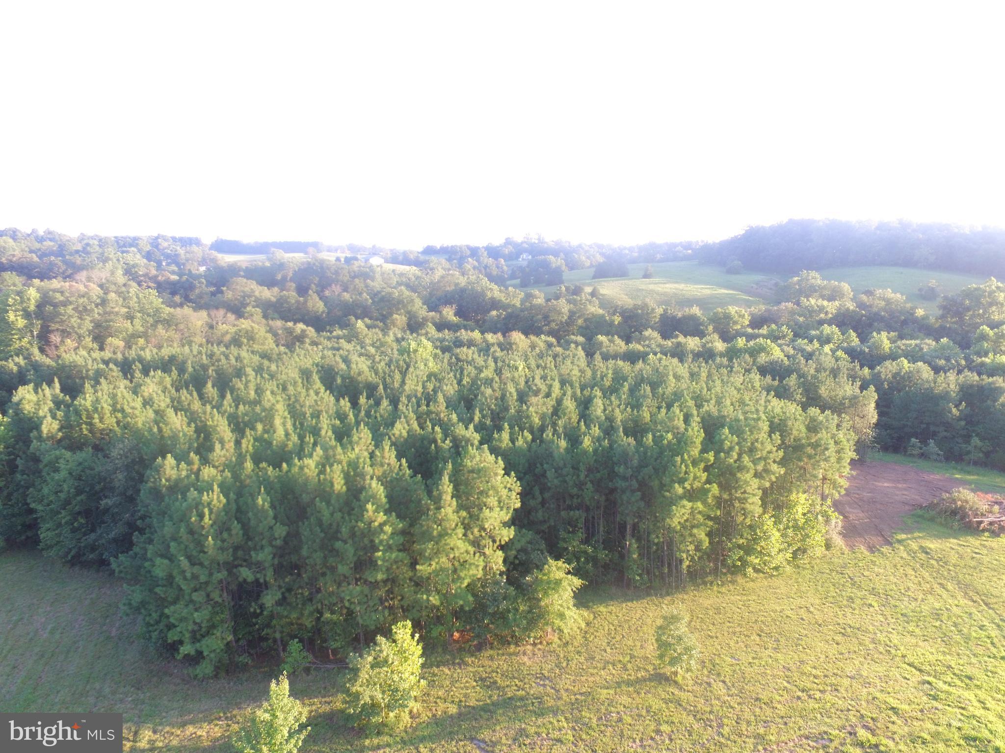 17372 Crookes Farm Road Rixeyville, VA 22737 - Photo 3 of 30 Rixeyville Countryside
