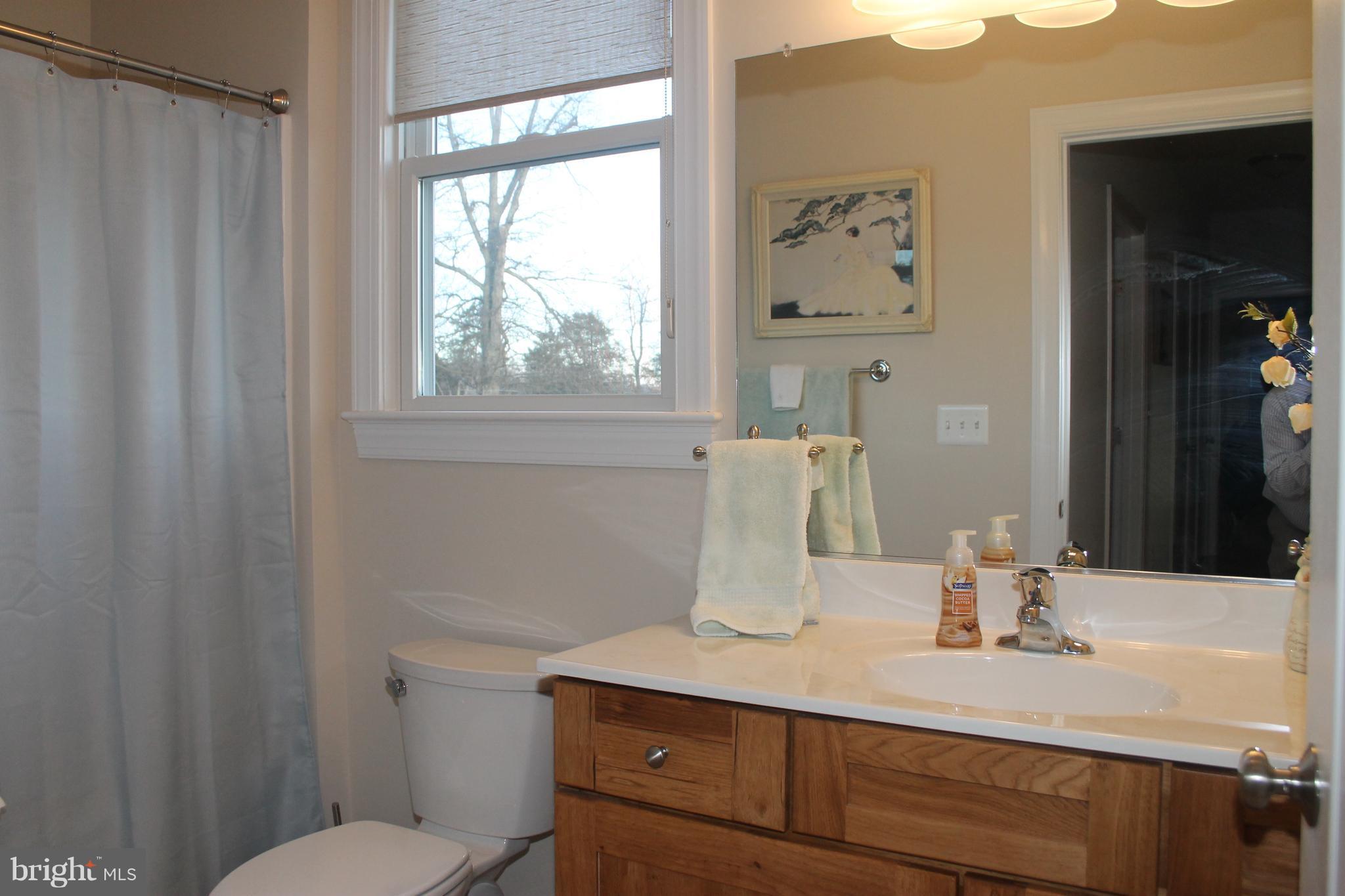 17372 Crookes Farm Road Rixeyville, VA 22737 - Photo 22 of 30 Hall Full Bath