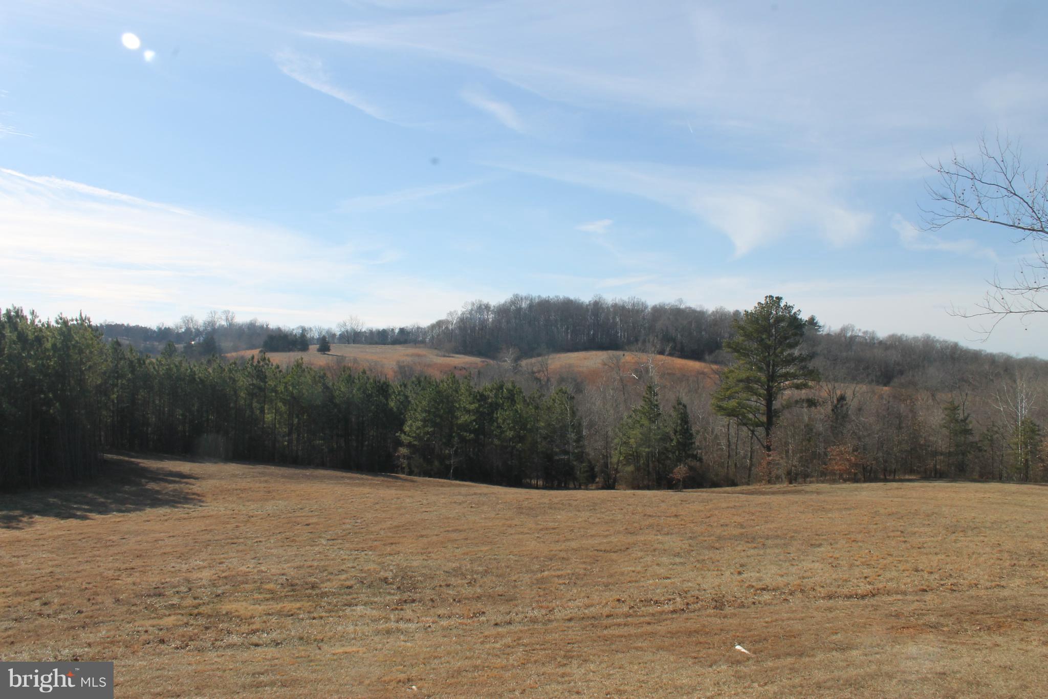 17372 Crookes Farm Road Rixeyville, VA 22737 - Photo 9 of 30 View from rear deck