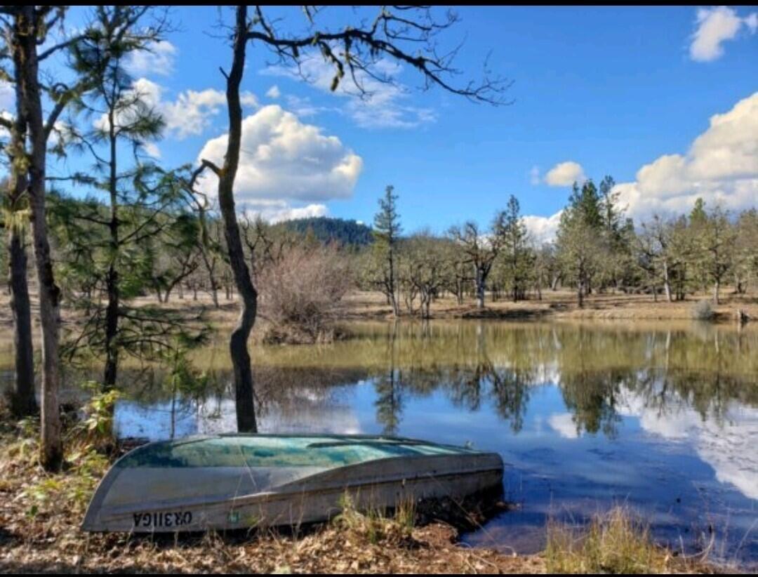 7745 Beagle Road White City, OR 97503 - Photo 11 of 49 pic8