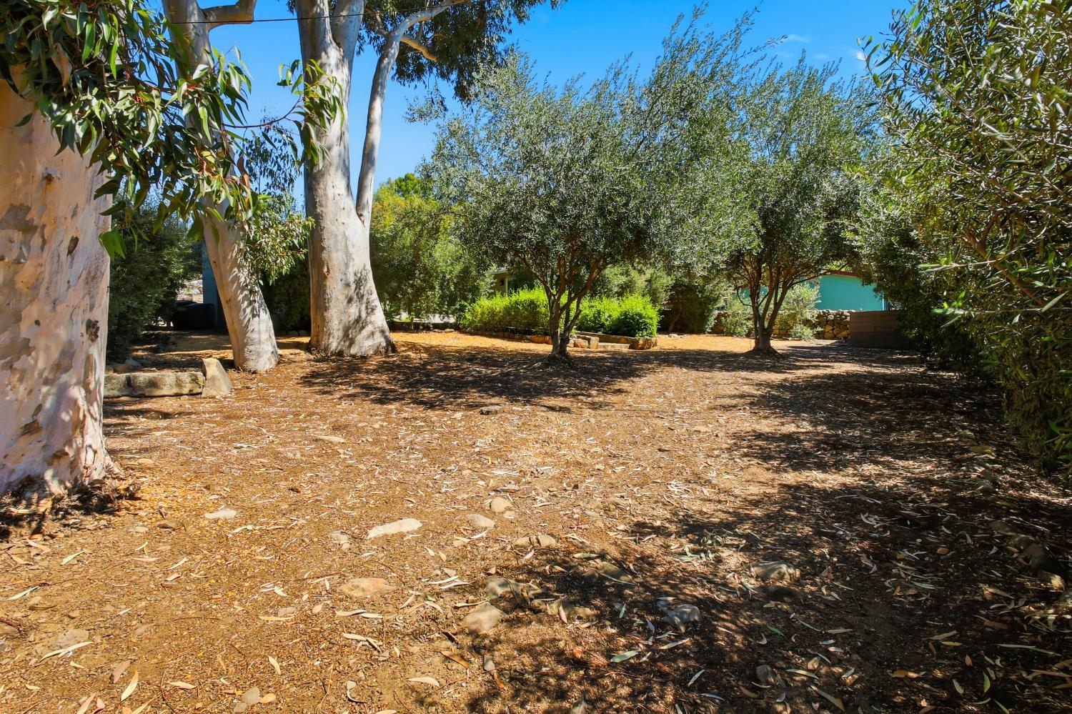 1310 McAndrew Road Ojai, CA 93023 - Photo 37 of 41
