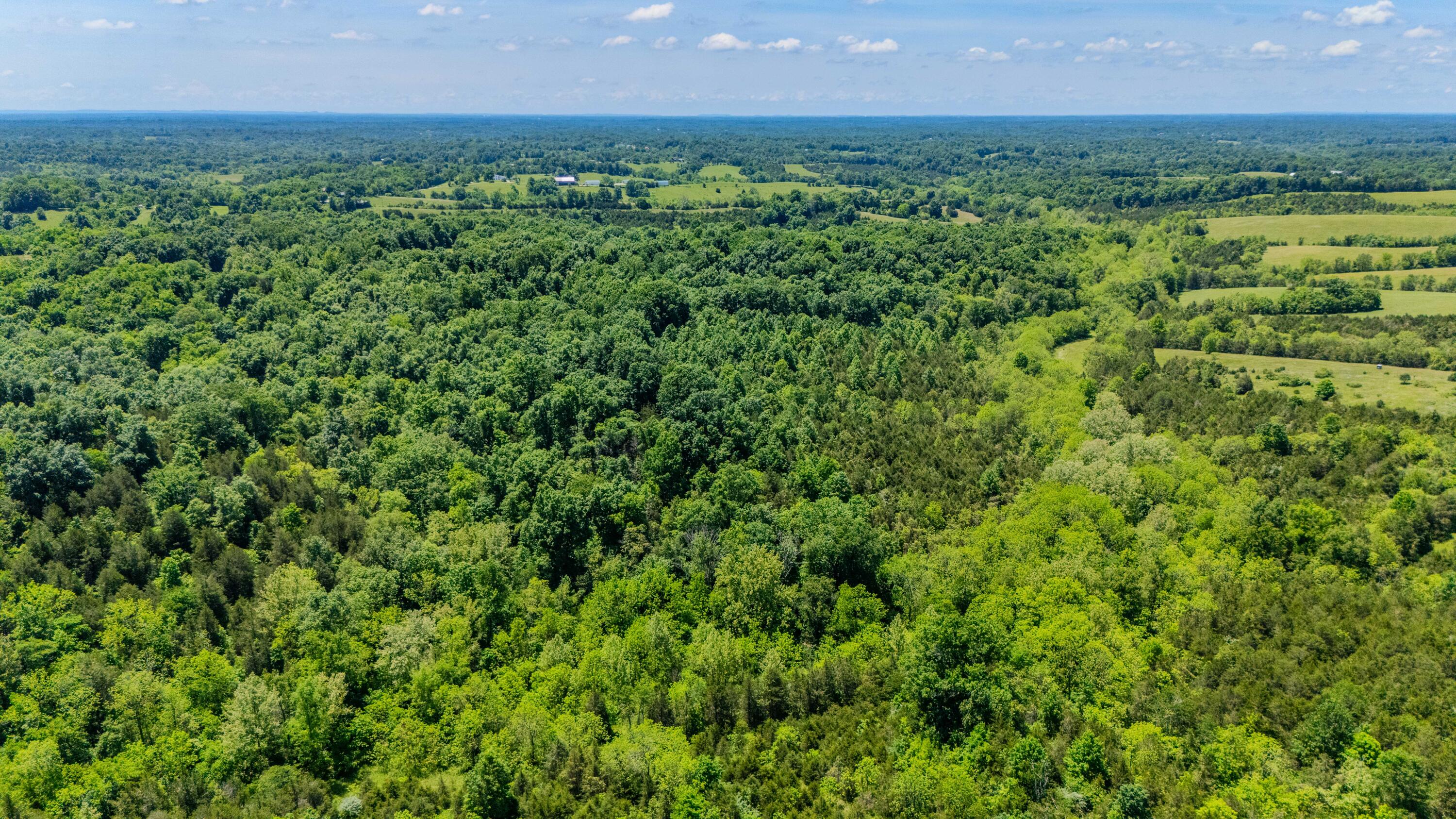 1265 Edmonson Road Lawrenceburg, KY 40342 - Photo 48 of 64 1265Edmonson--11